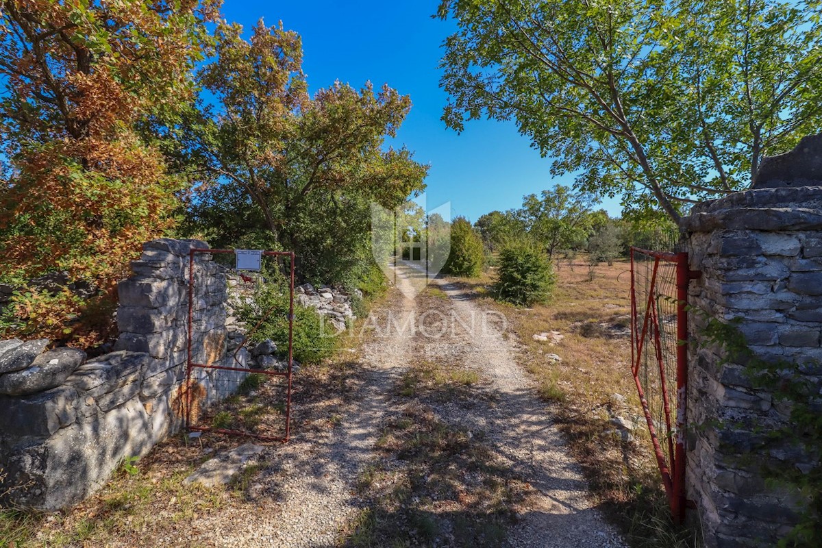 Rovigno, dintorni, proprietà con potenziale