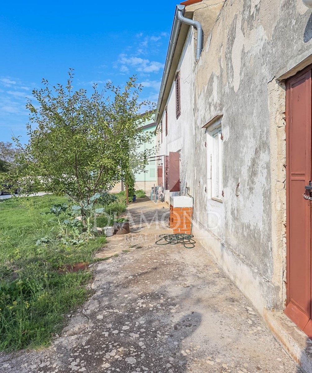 Dignano, dintorni, casa con ampio giardino