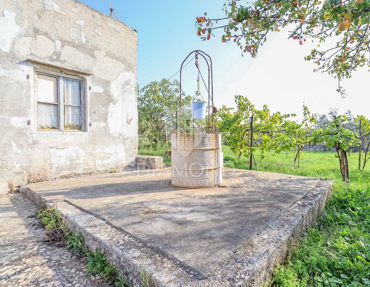 Dignano, dintorni, casa con ampio giardino