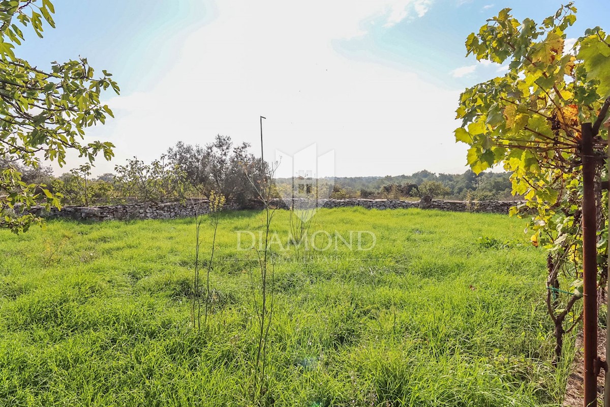 Dignano, dintorni, casa con ampio giardino