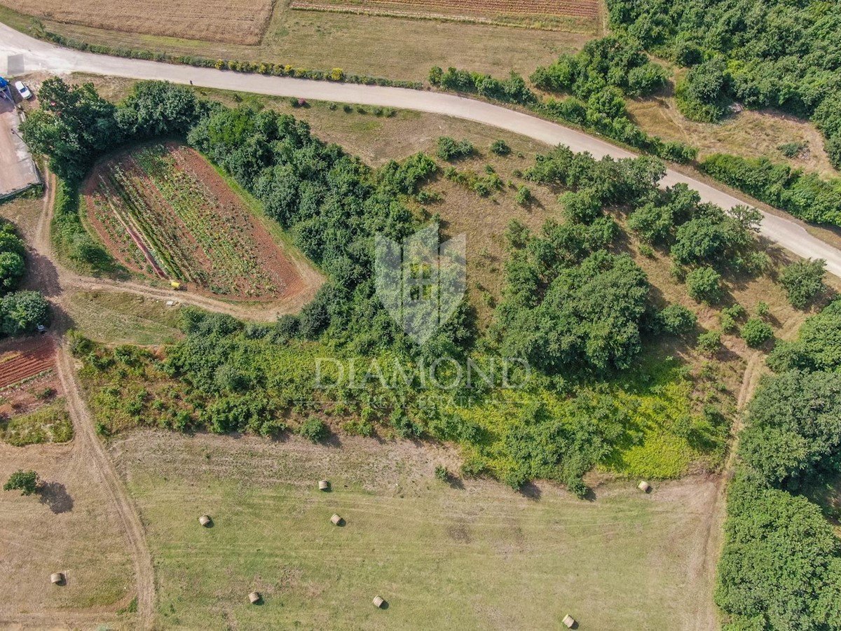 Ampio terreno in un posto tranquillo non lontano da Svetvinčent