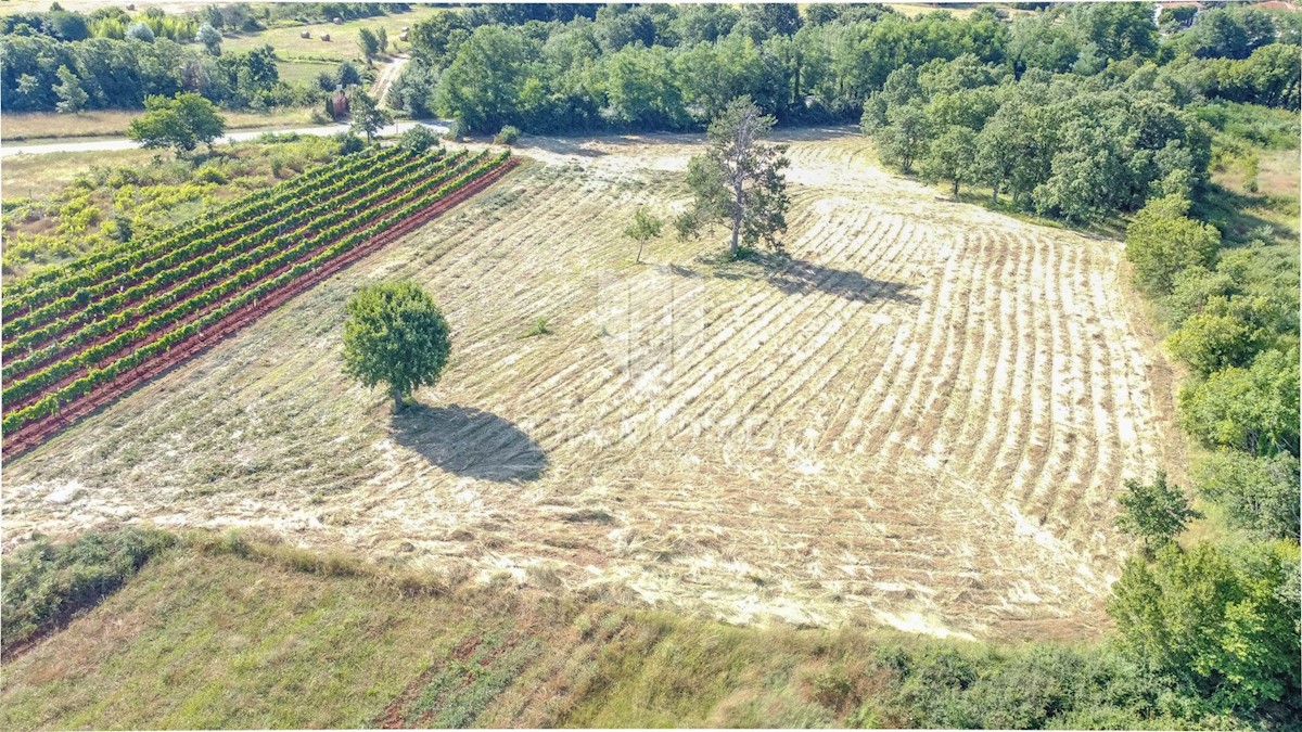 Istria, Krnica, dintorni, terreno con potenziale