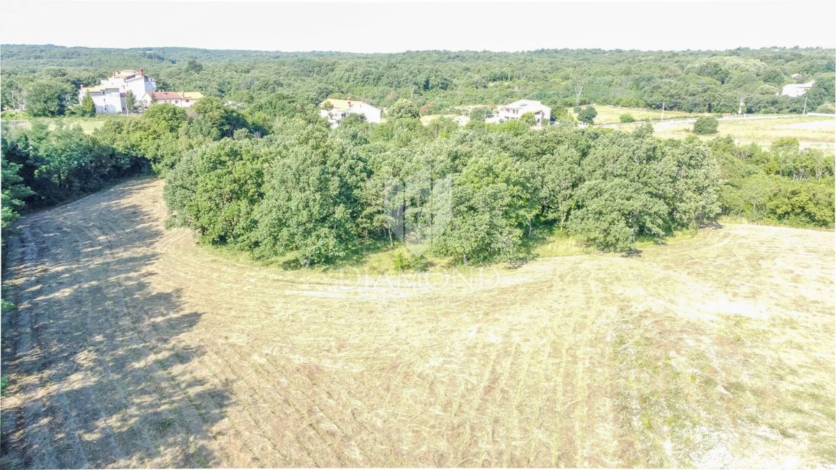 Istria, Krnica, dintorni, terreno con potenziale