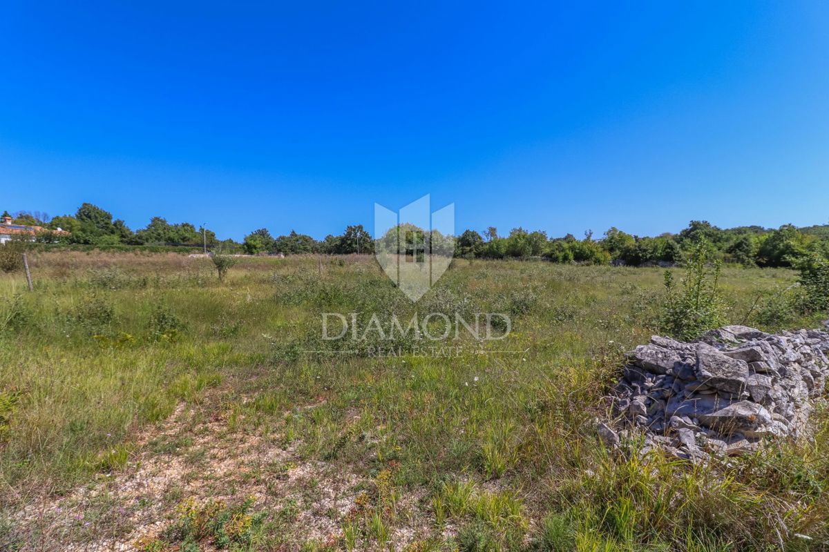 Gimino, dintorni, terreno ai margini del villaggio