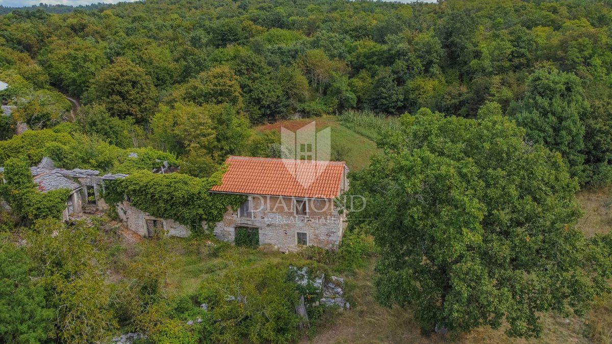 Zona Oprtalj, casa con ampio terreno