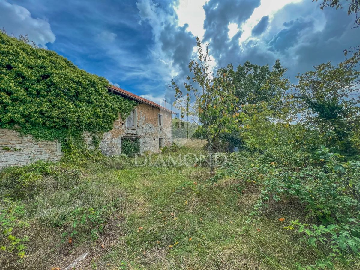 Zona Oprtalj, casa con ampio terreno