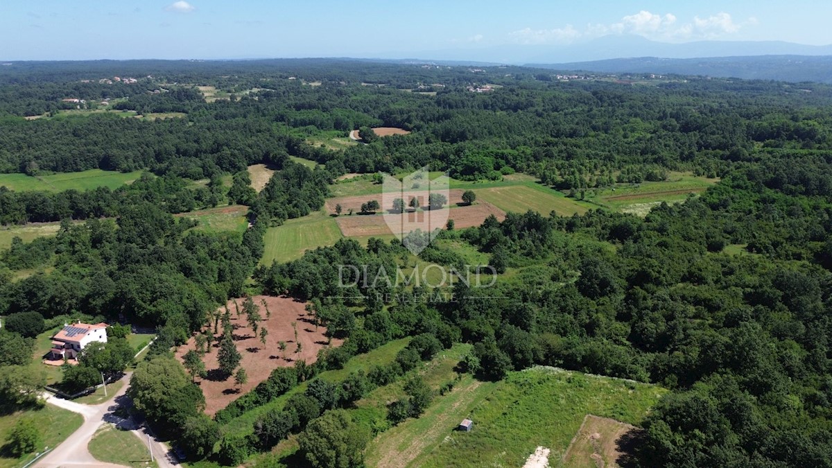 Barban, dintorni, ottimo terreno edificabile