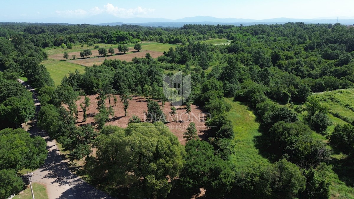 Barban, dintorni, ottimo terreno edificabile