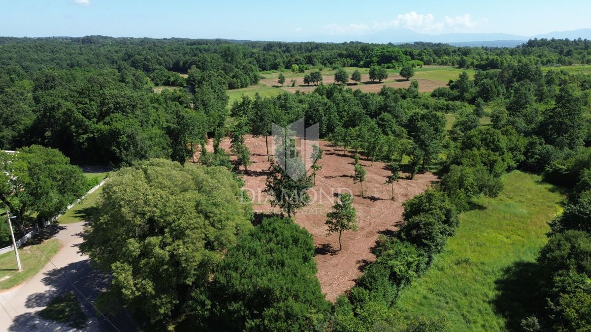 Barban, dintorni, ottimo terreno edificabile