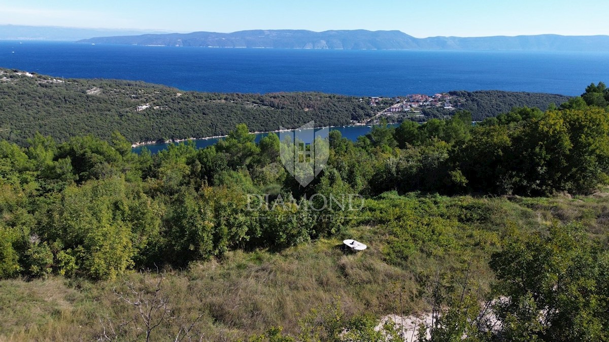 Albona, dintorni, terreno edificabile con vista mare