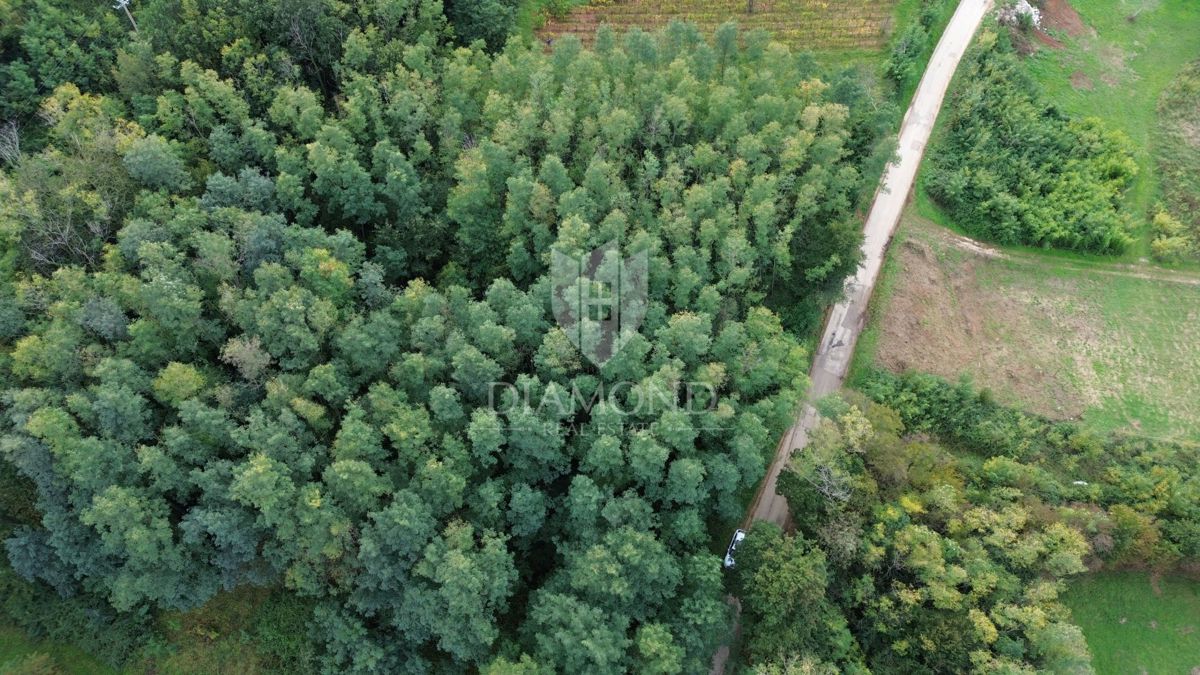 Terreno Labin, 5.083m2