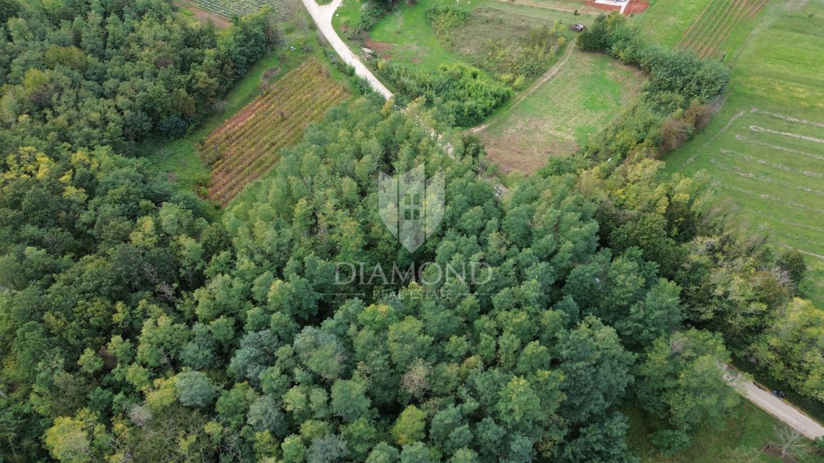 Terreno Labin, 5.083m2