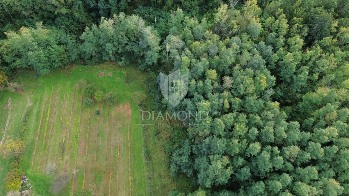 Terreno Labin, 5.083m2