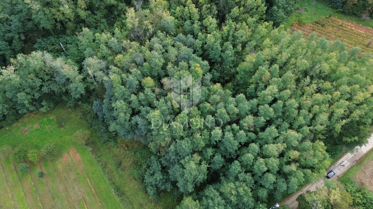 Terreno Labin, 5.083m2