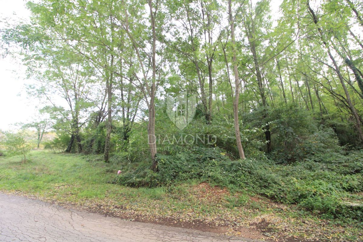Terreno Labin, 5.083m2
