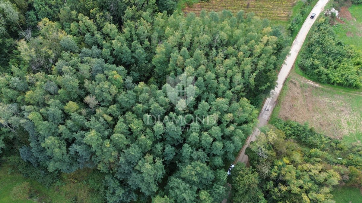 Terreno Labin, 5.083m2