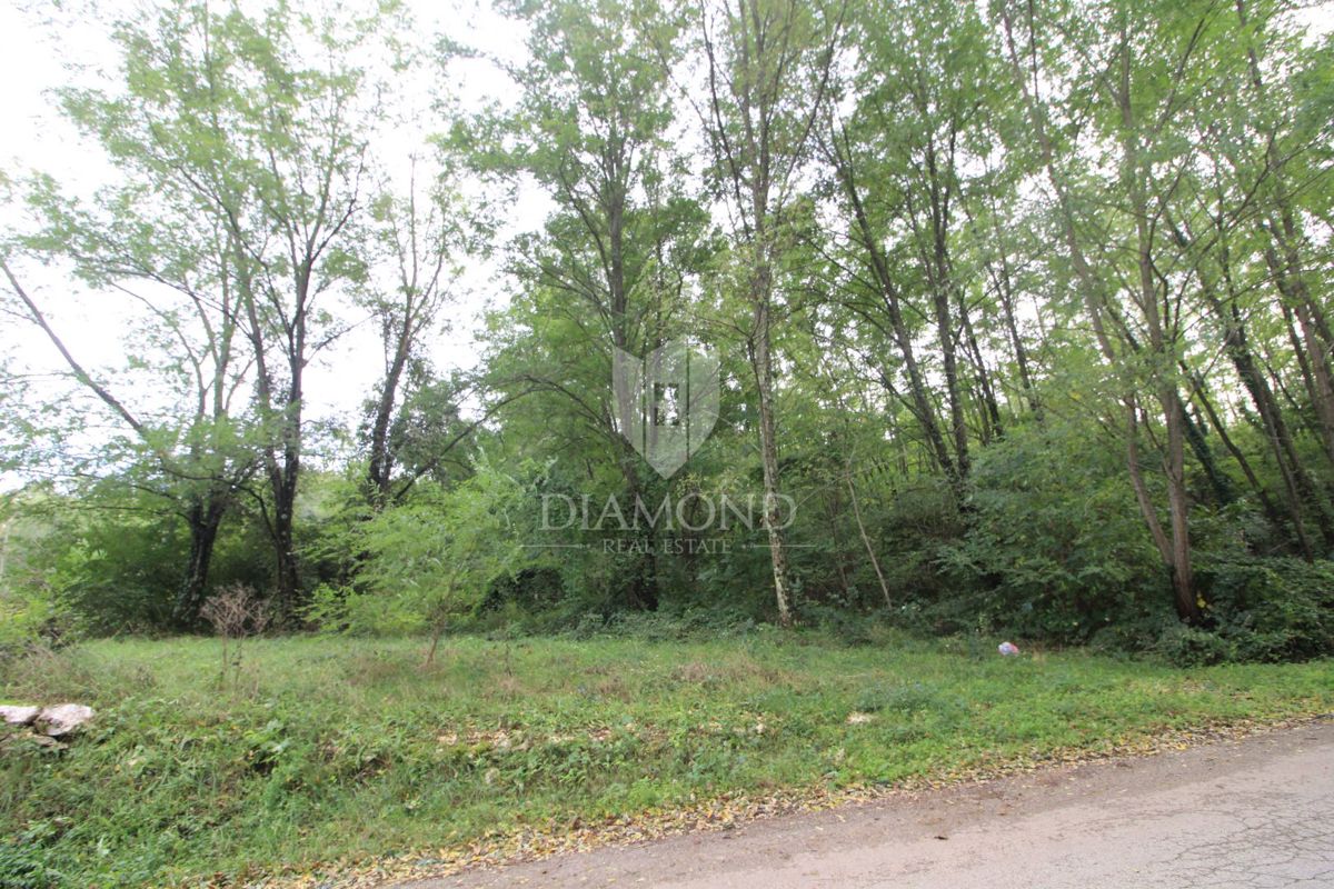 Terreno Labin, 5.083m2