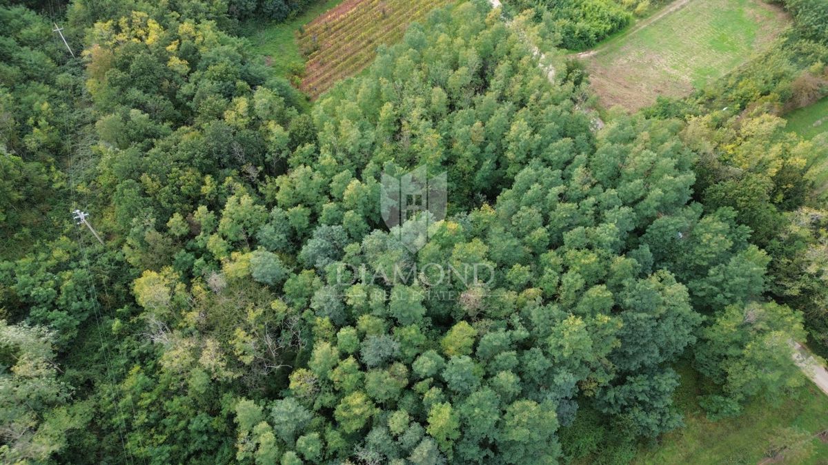 Terreno Labin, 5.083m2