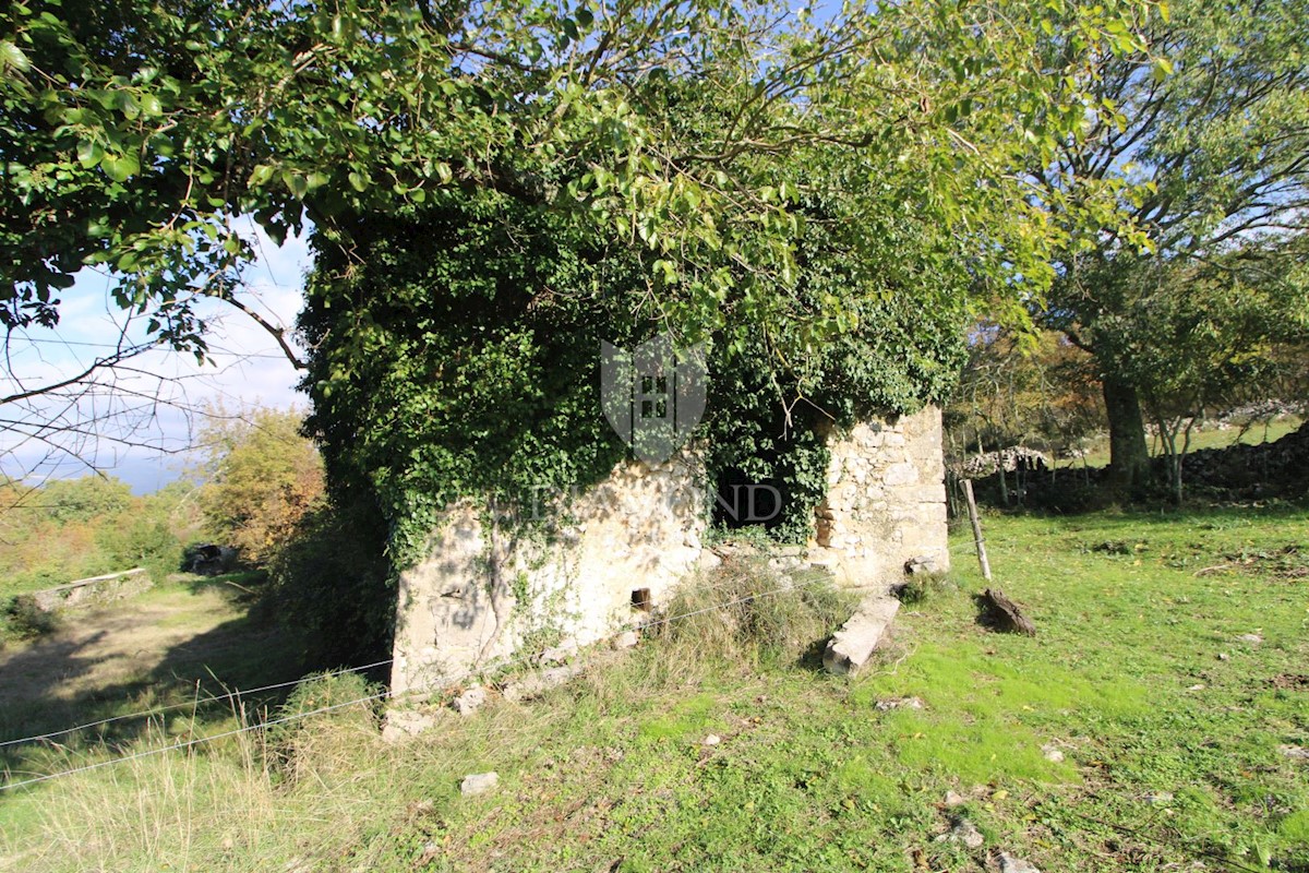 Boljun, dintorni, casa in pietra da adattare