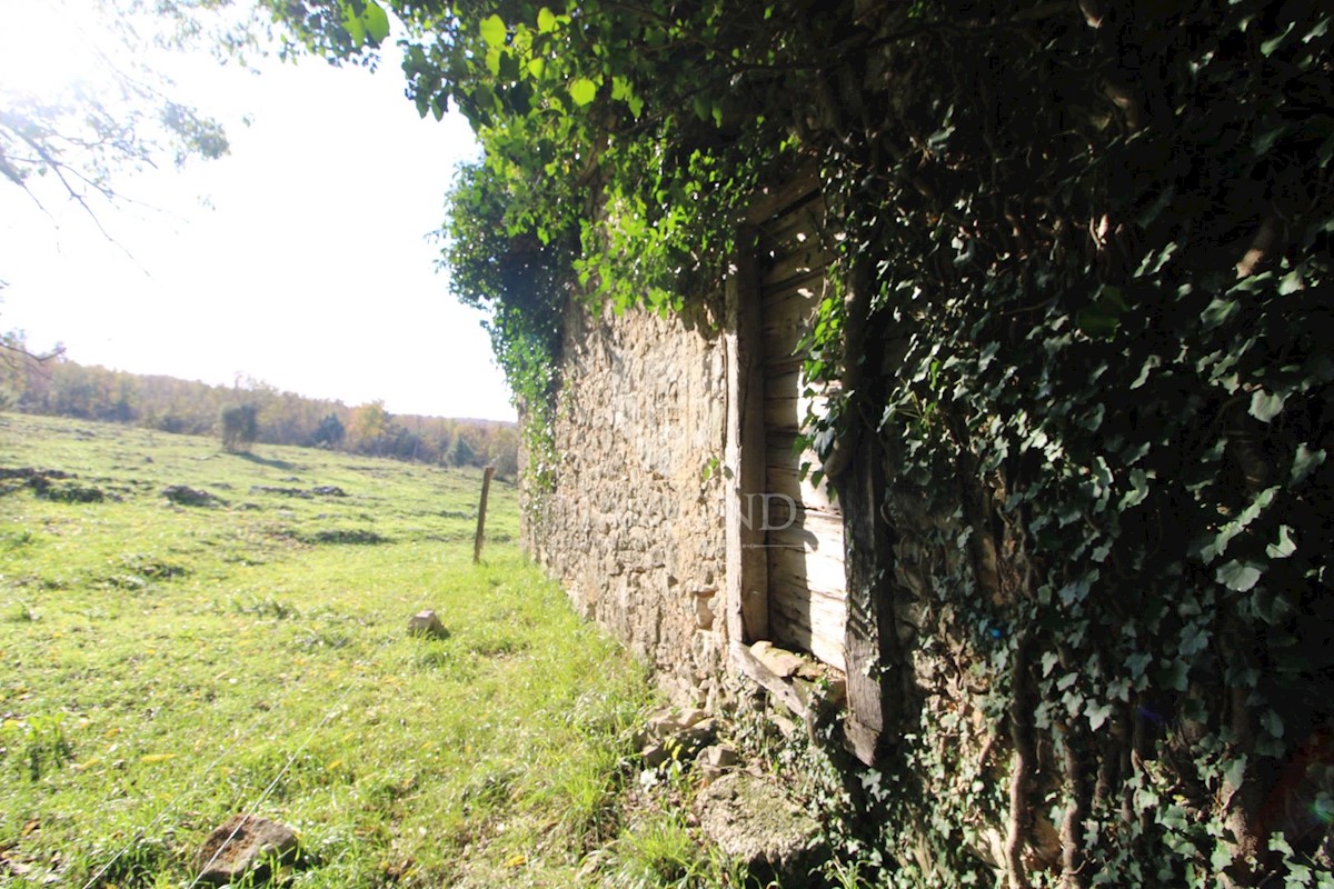 Boljun, dintorni, casa in pietra da adattare