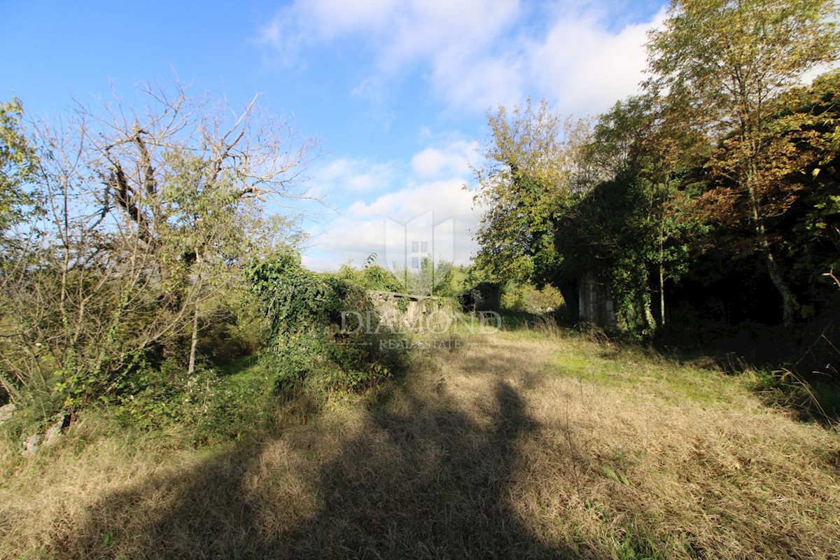 Boljun, dintorni, casa in pietra da adattare