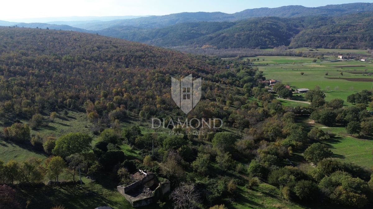 Boljun, dintorni, casa in pietra da adattare
