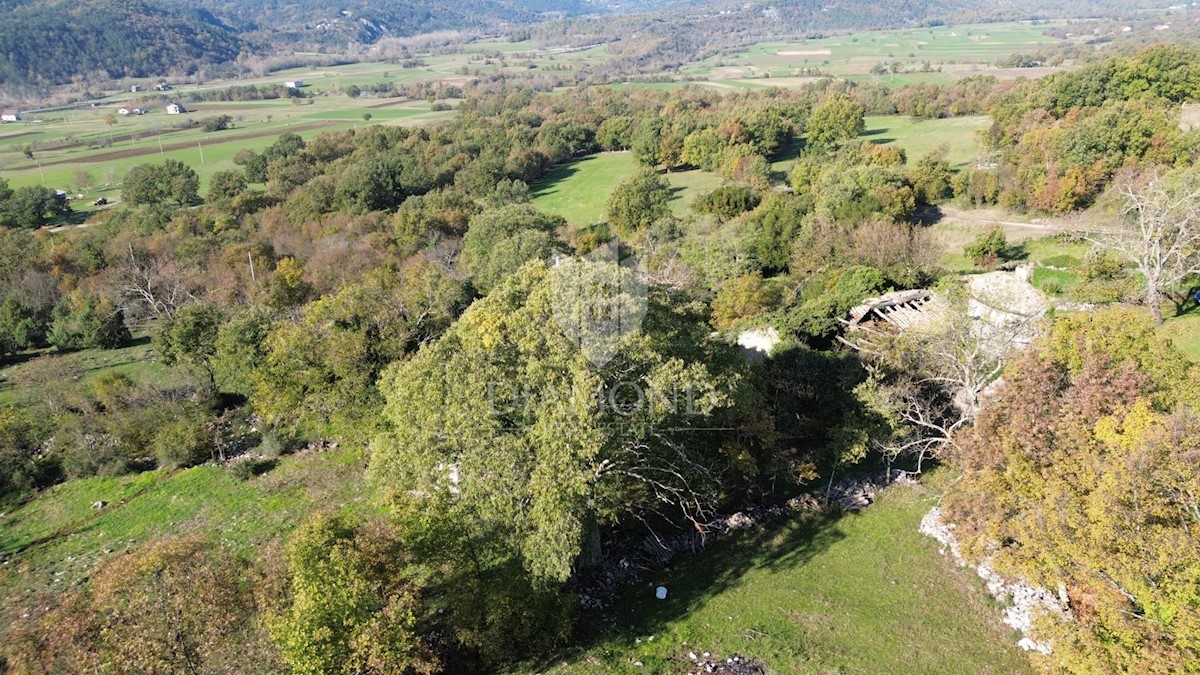 Boljun, dintorni, casa in pietra da adattare