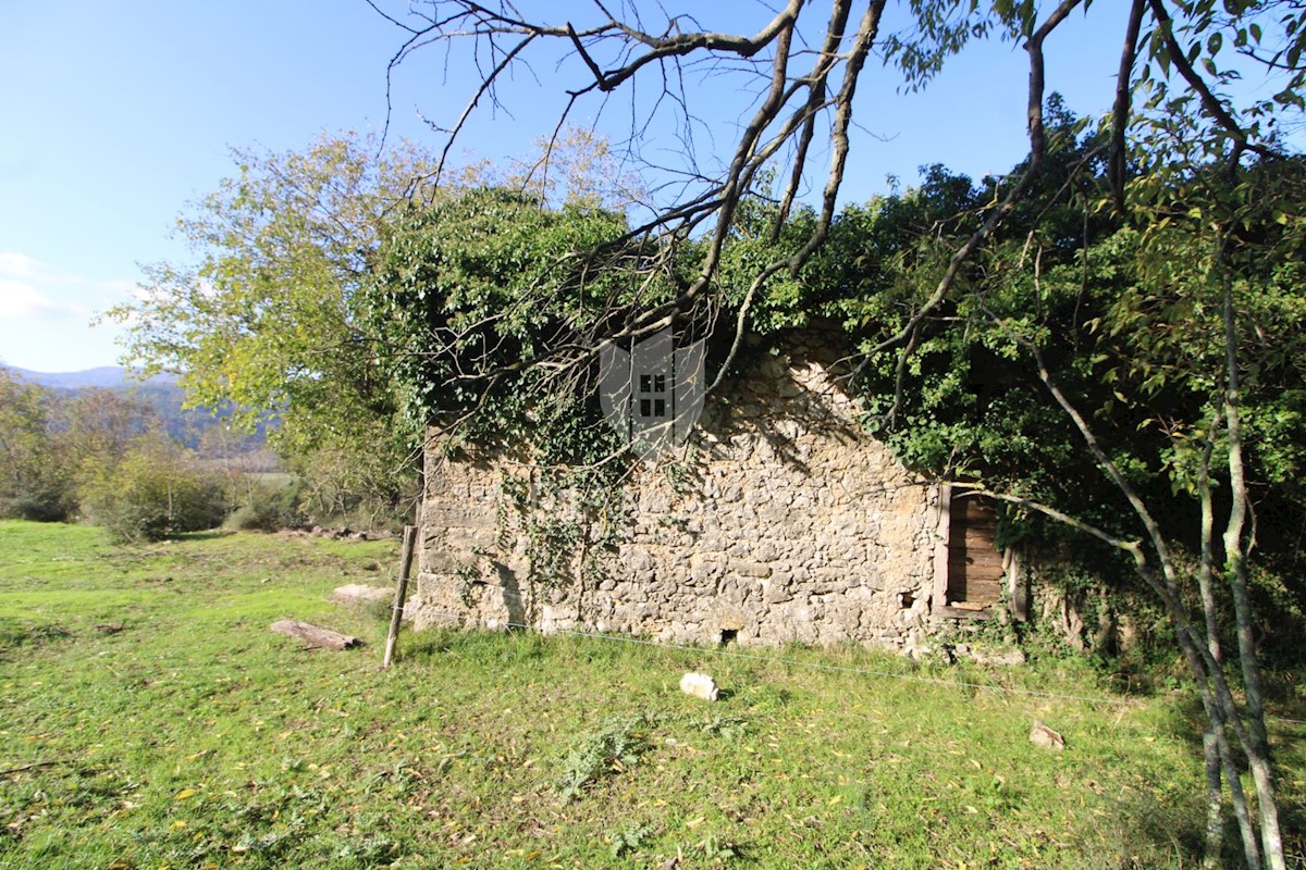 Boljun, dintorni, casa in pietra da adattare