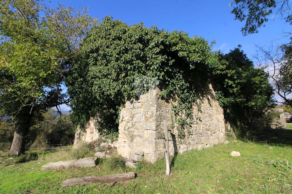 Boljun, dintorni, casa in pietra da adattare