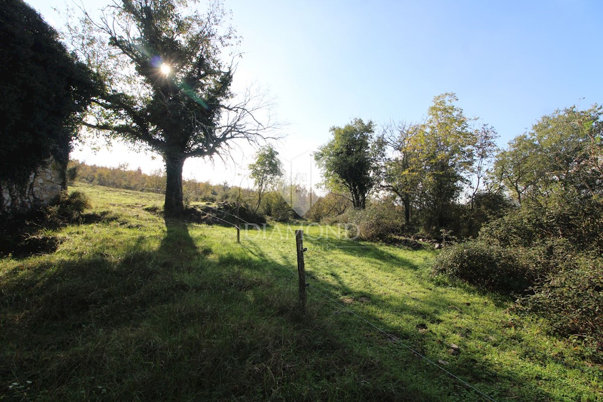 Boljun, dintorni, casa in pietra da adattare