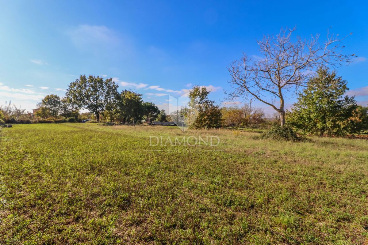 Canfanaro, dintorni, terreno con un bellissimo progetto di casa