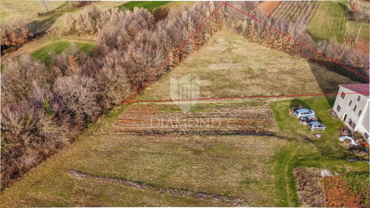 Terreno agricolo ed edificabile nelle vicinanze di Barban!