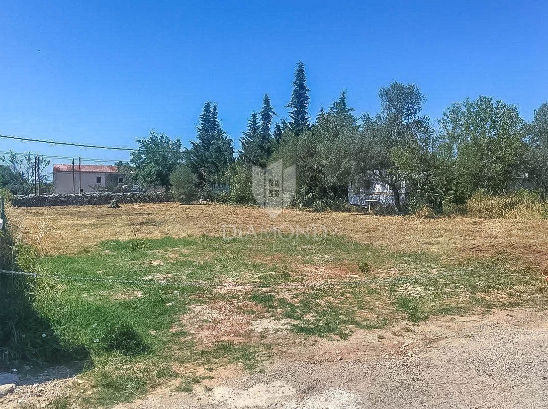 Dignano dintorni, terreno edificabile di forma regolare