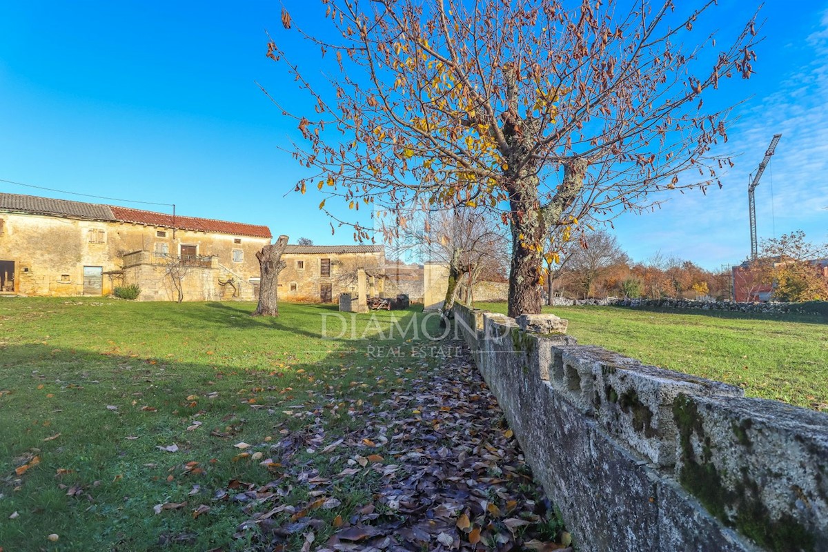 Parenzo, dintorni, proprietà autoctona da adattare!