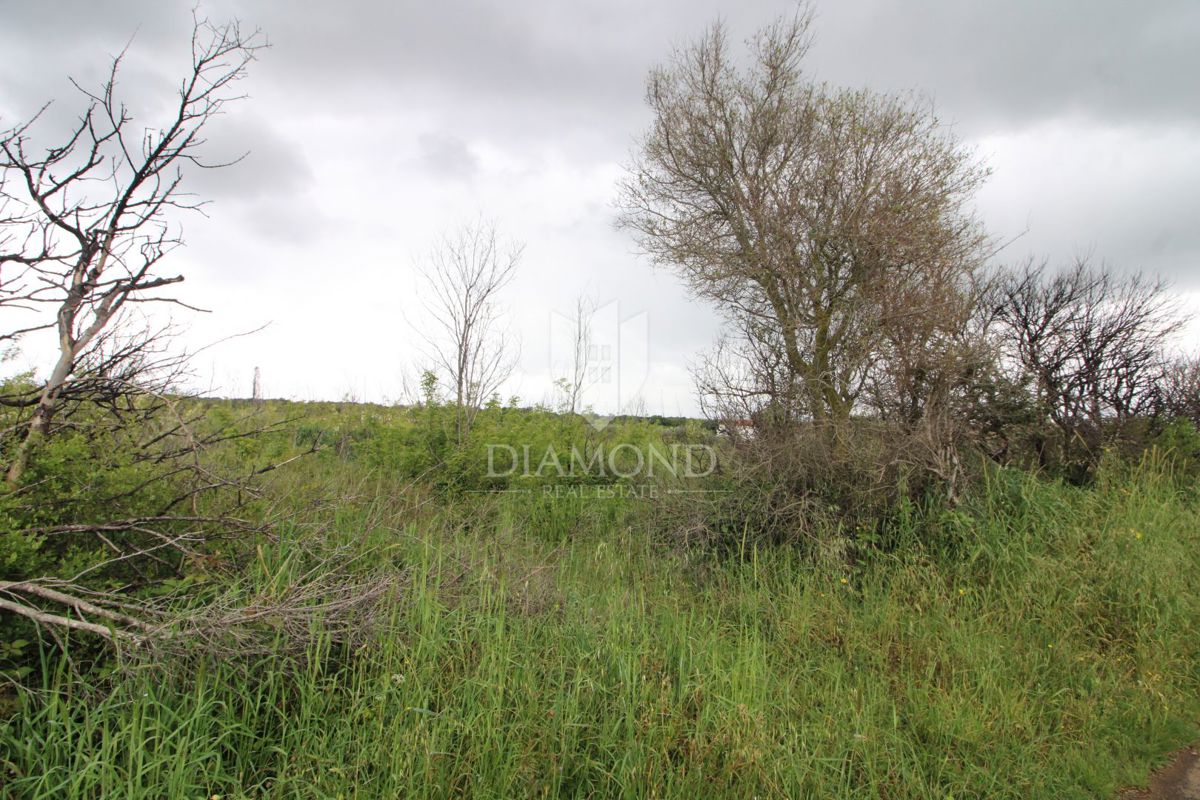 Liznjan, dintorni, terra attraente 