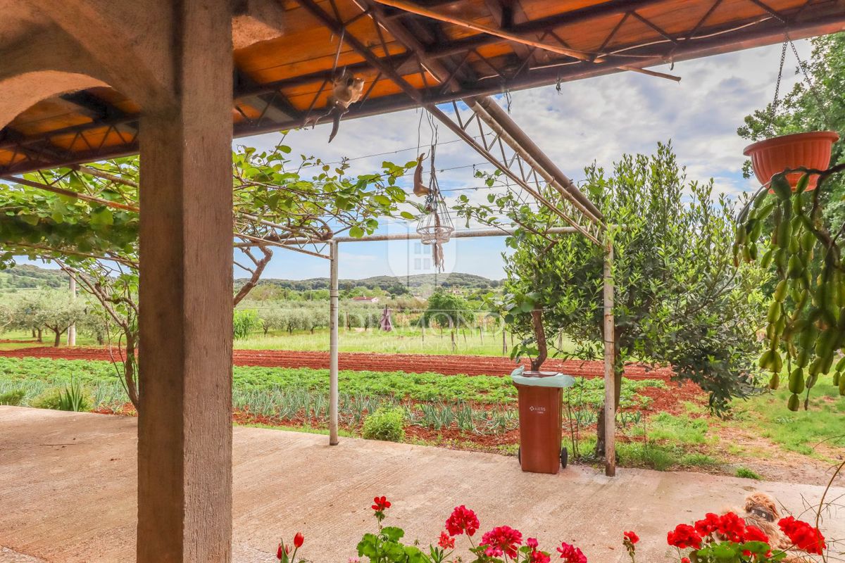 Rovigno, casa isolata vicino alla spiaggia