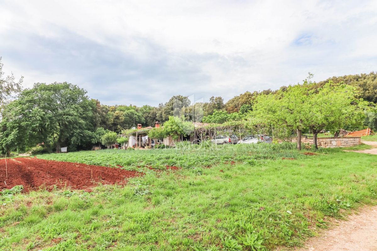 Rovigno, casa isolata vicino alla spiaggia