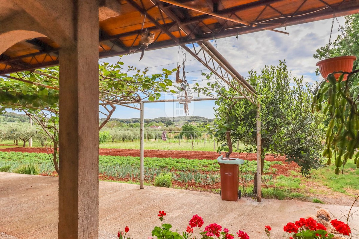 Rovigno, casa isolata vicino alla spiaggia