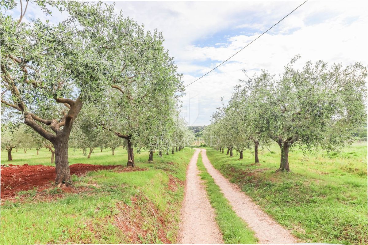 Rovigno, casa isolata vicino alla spiaggia