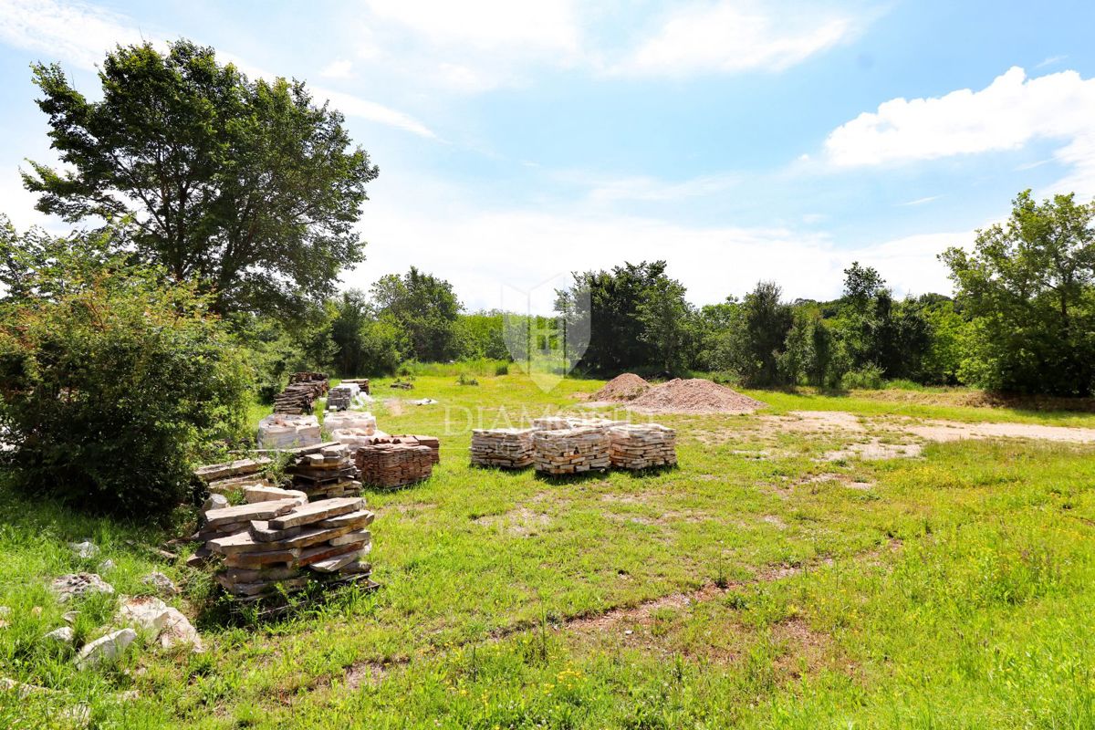 OPPORTUNITÀ! Ampio terreno per investimenti nelle vicinanze di Grisignana.