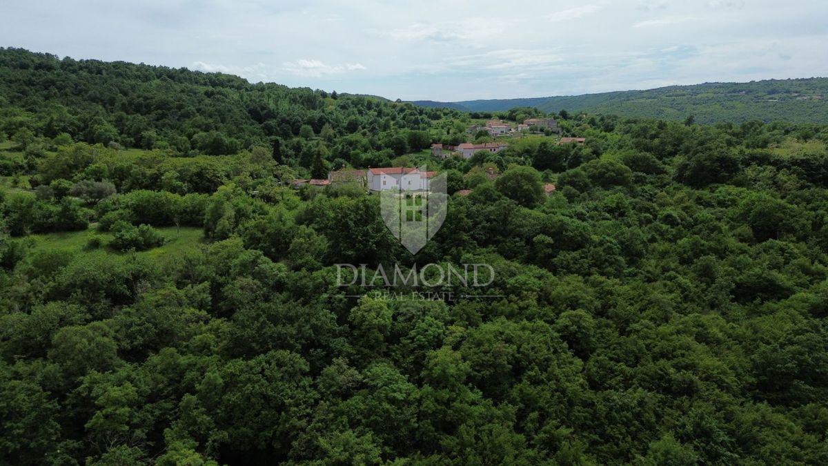 Istria Labin, Grande tenuta con 3 case in pietra