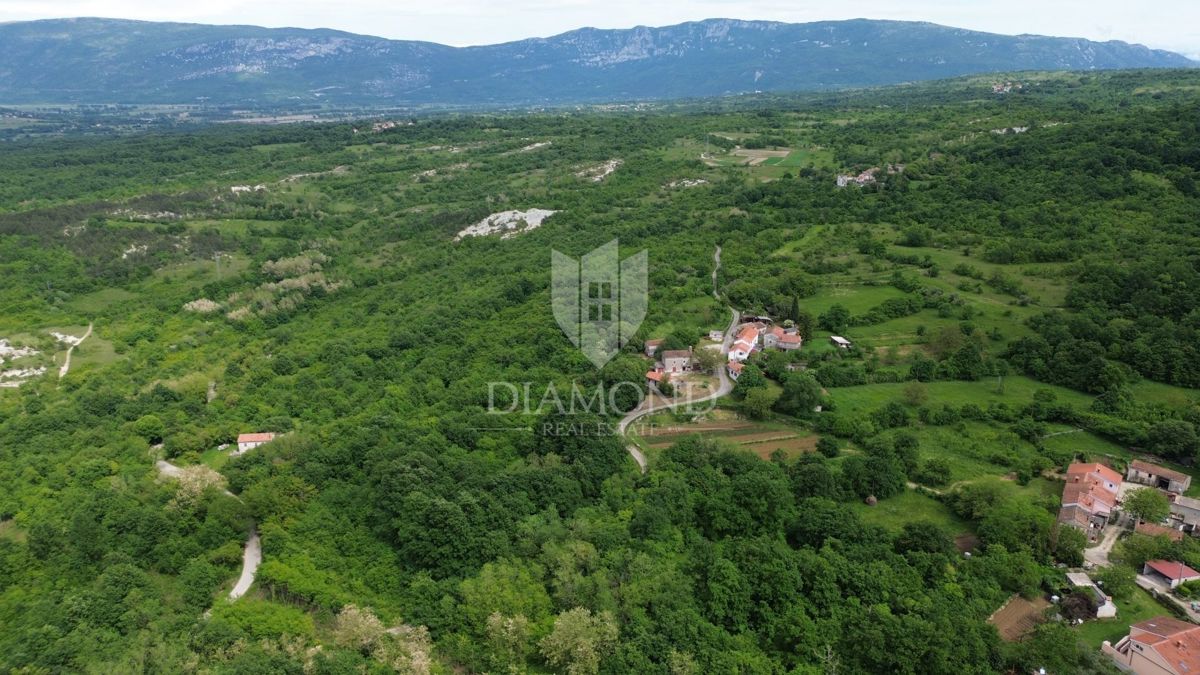 Istria Labin, Grande tenuta con 3 case in pietra