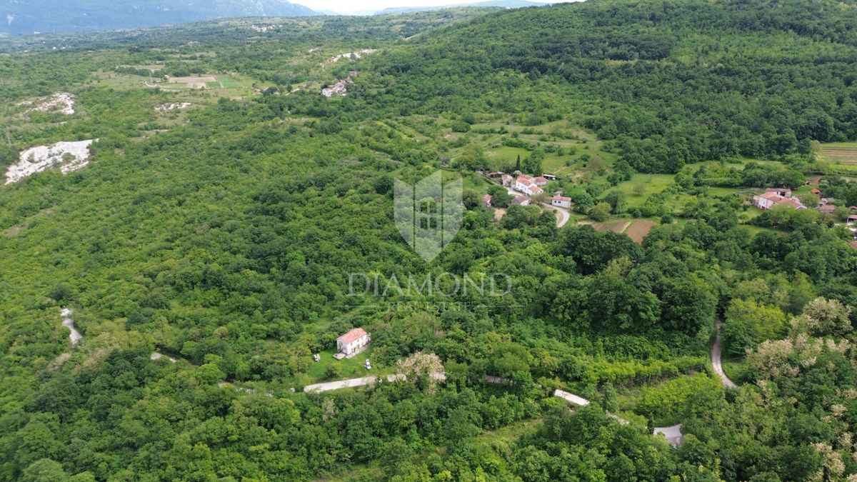 Istria Labin, Grande tenuta con 3 case in pietra