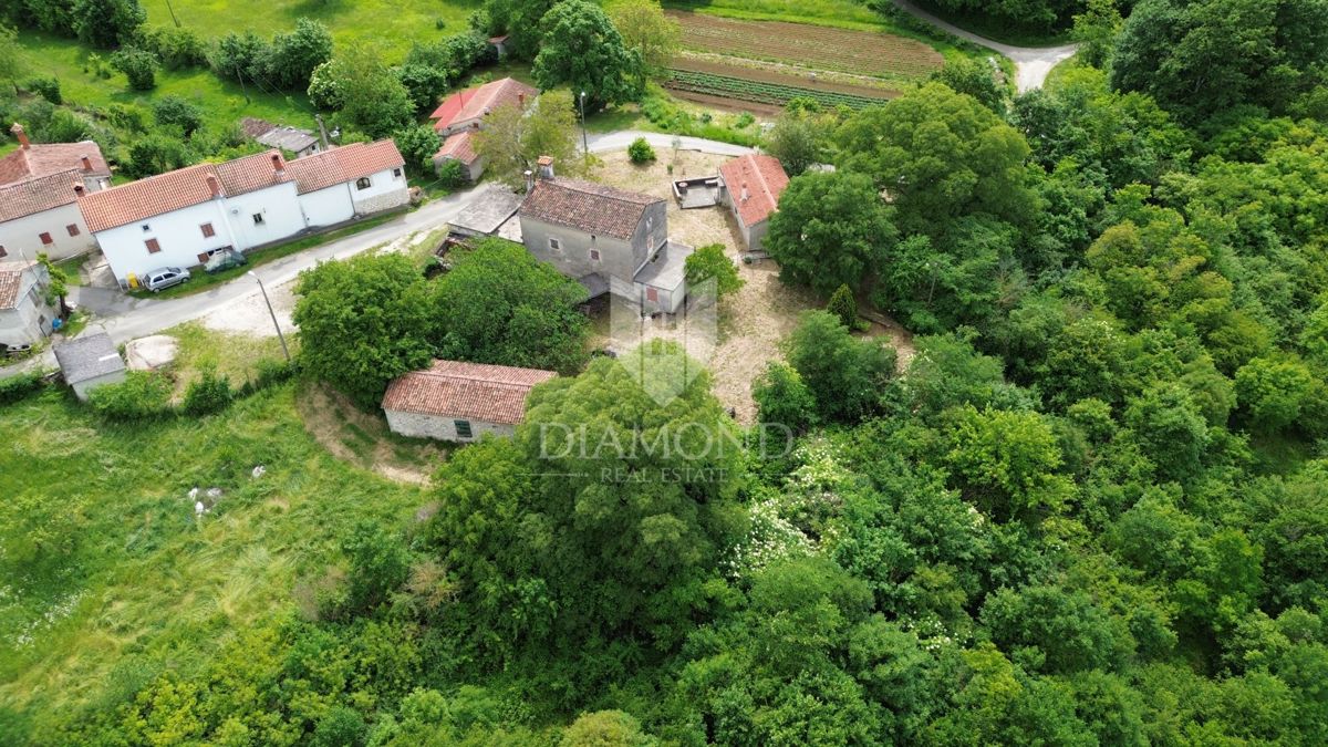 Istria Labin, Grande tenuta con 3 case in pietra