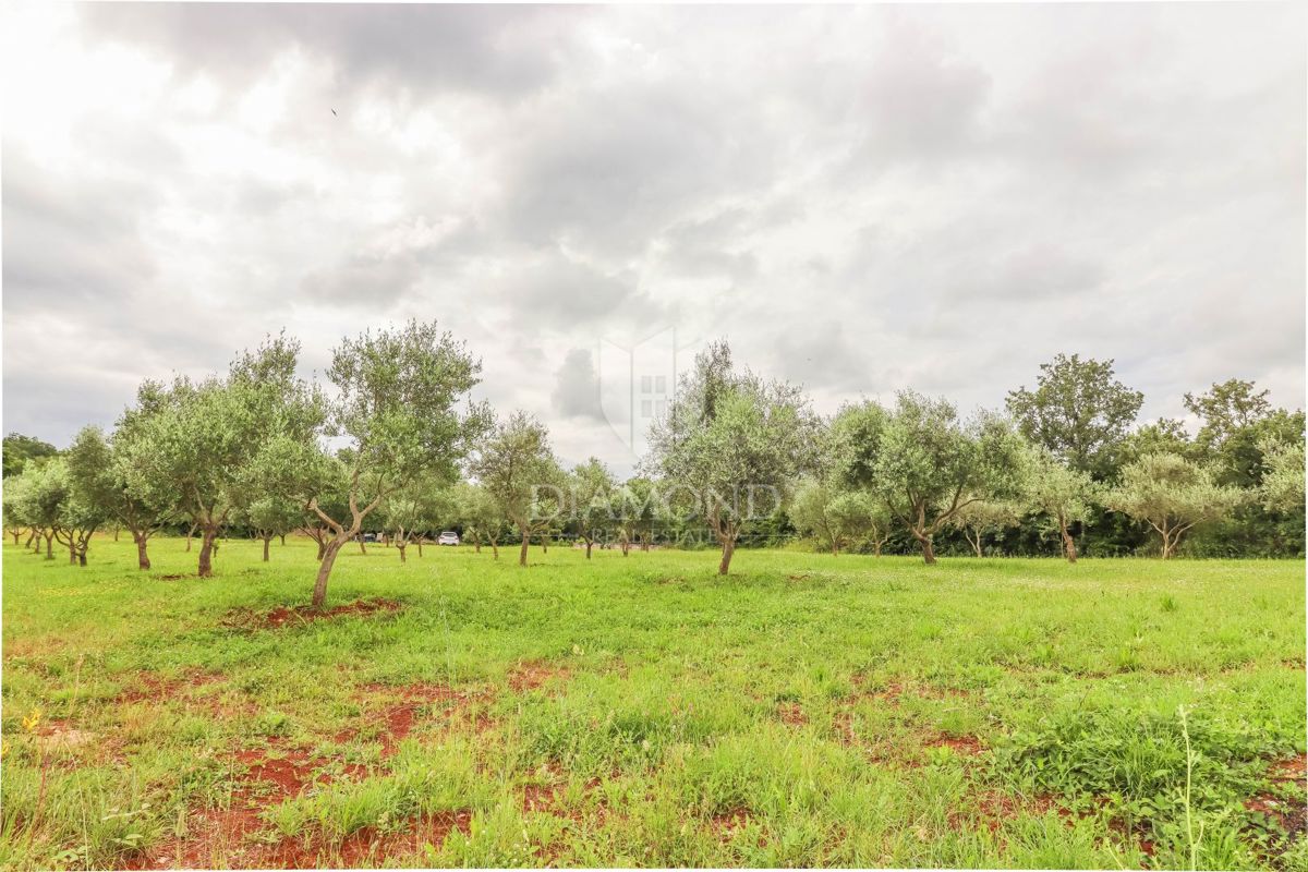 Spaziosa casa nella natura vicino a Rovigno