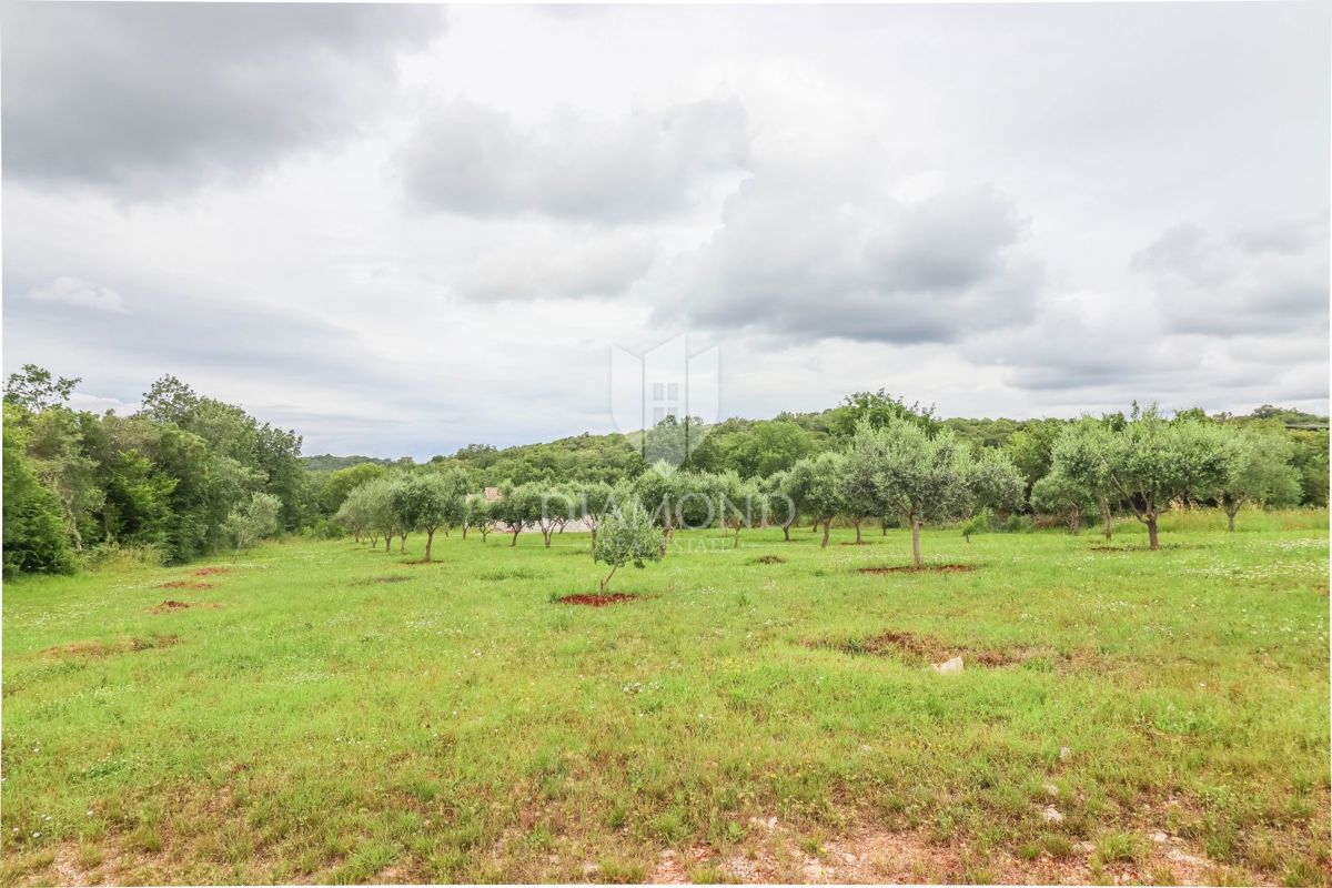 Spaziosa casa nella natura vicino a Rovigno