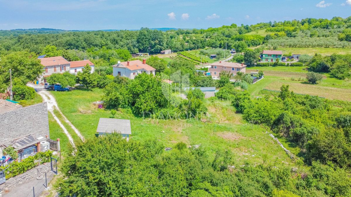 Verteneglio, ottimo terreno edificabile con un progetto!