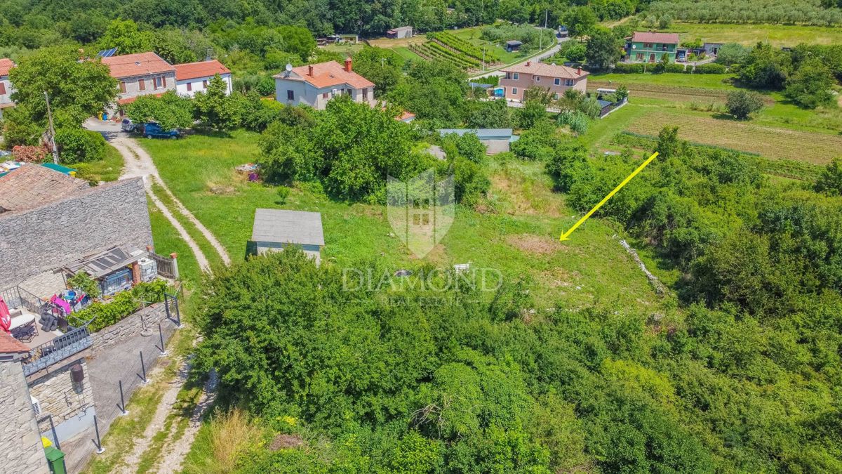 Verteneglio, ottimo terreno edificabile con un progetto!