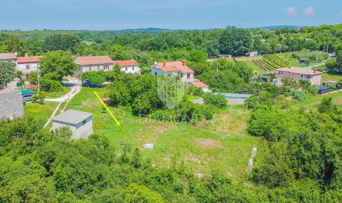 Verteneglio, ottimo terreno edificabile con un progetto!