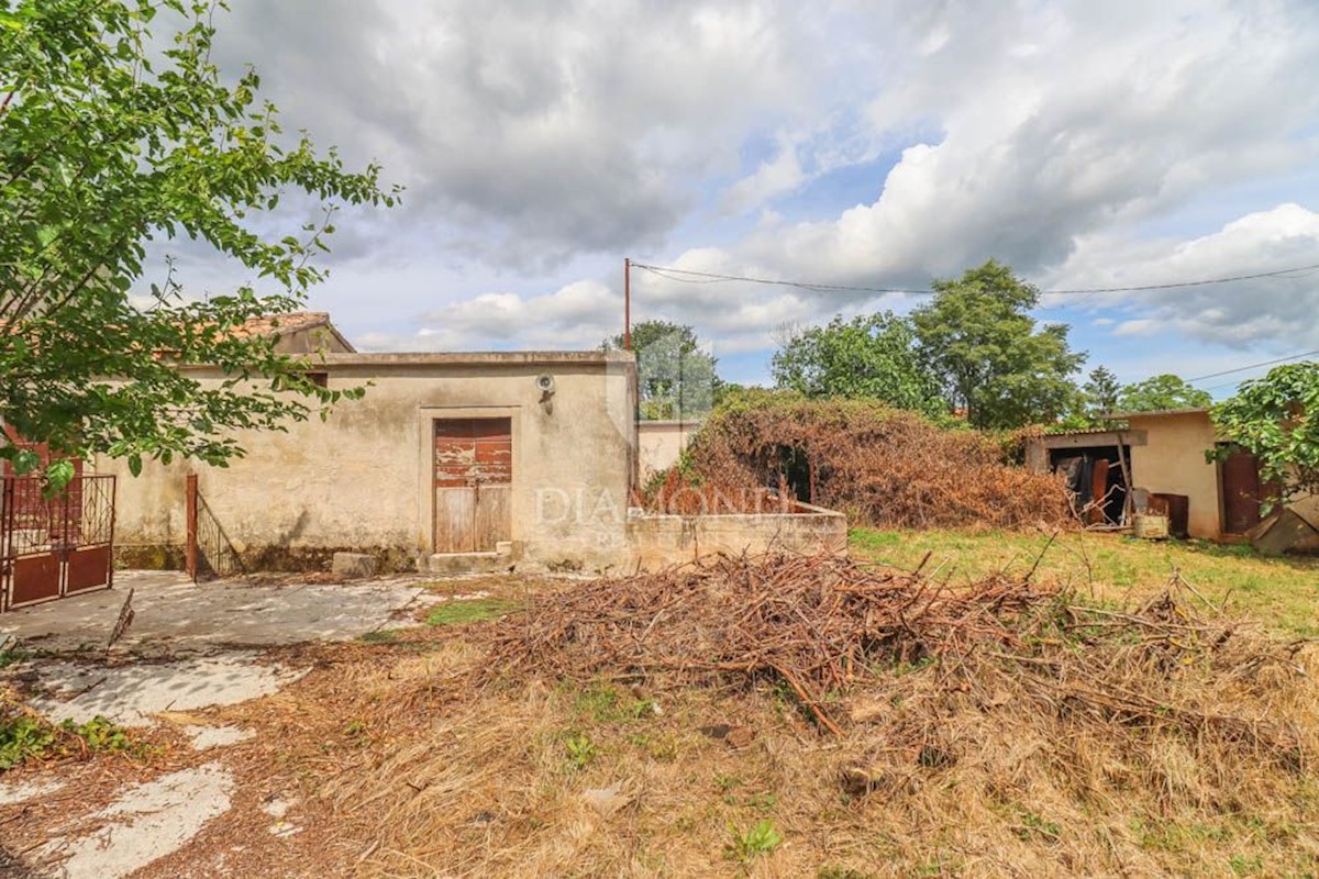 Barban, una casa con potenziale e un ampio giardino! 